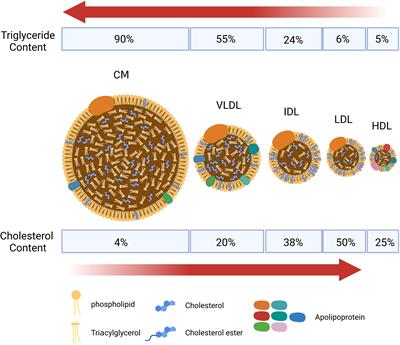 Dyslipidemia in rheumatoid arthritis: the possible - Frontiers